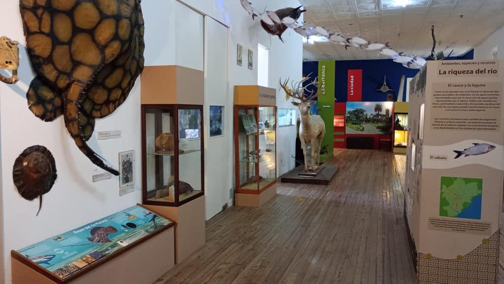 El museo Scasso se prepara para las Jornadas "Mundos Perdidos": un evento nicoleño dedicado a la ciencia y la exploración del pasado