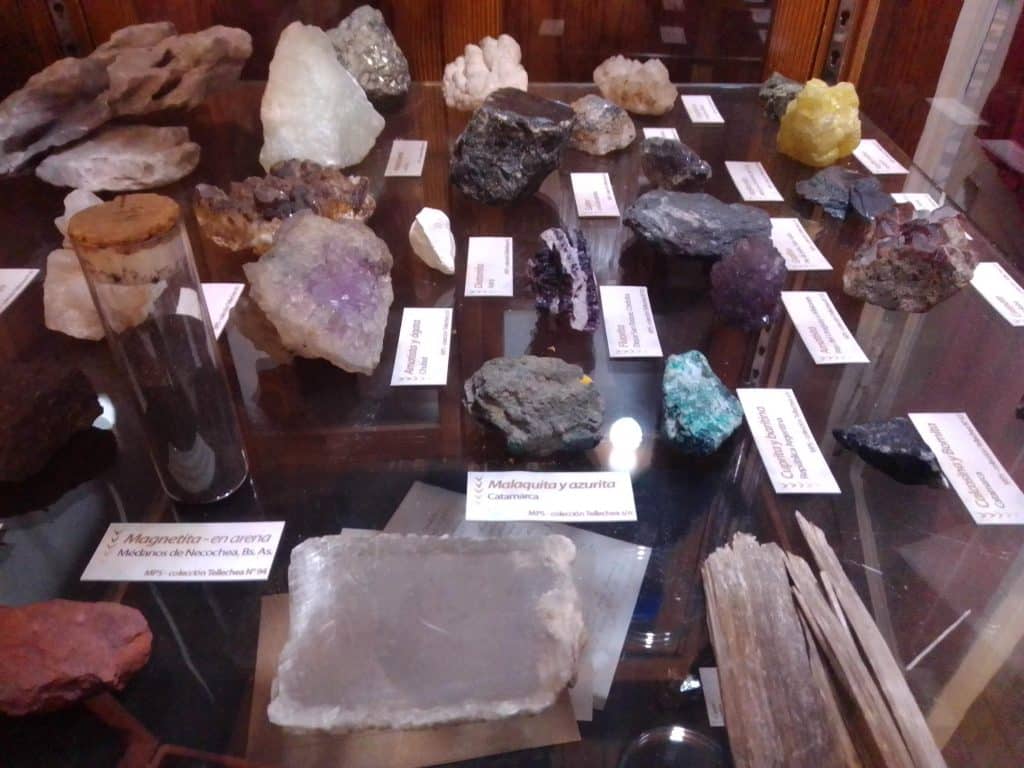 El museo Scasso se prepara para las Jornadas "Mundos Perdidos": un evento nicoleño dedicado a la ciencia y la exploración del pasado
