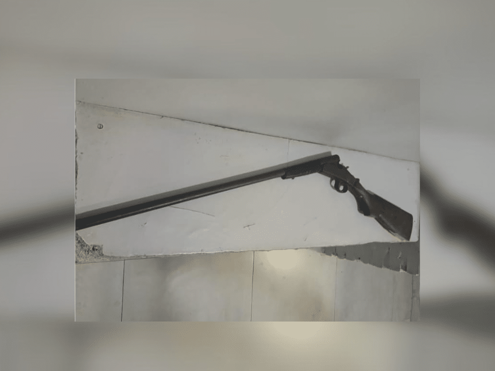 Zona norte: amenazó a su pareja con una escopeta y fue detenido