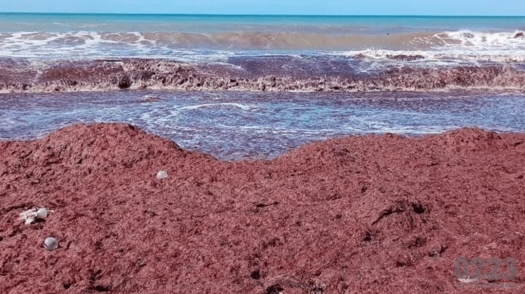 playas del sur de Mar del Plata rojo