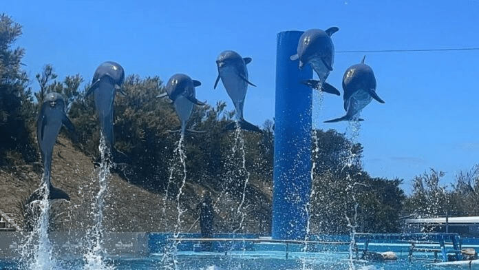 Cierra Aquarium Mar del Plata: sin acuerdo para renovar el contrato de alquiler del predio