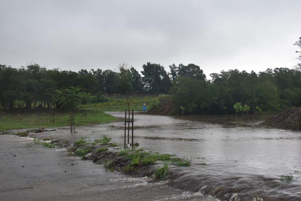 destrozos, San Nicolás