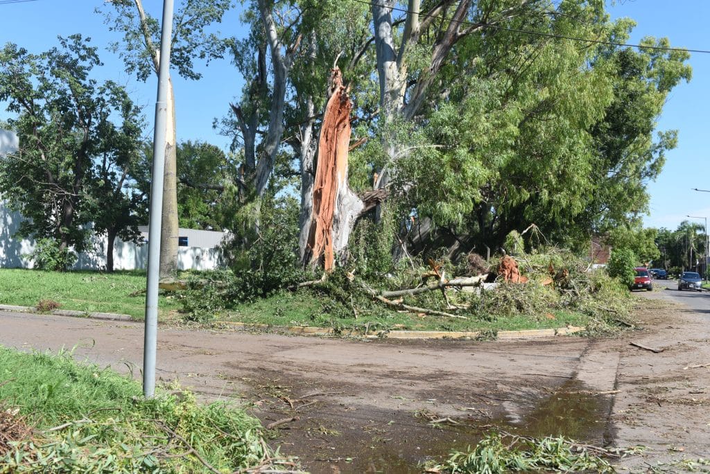 destrozos, San Nicolás