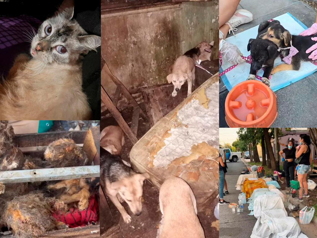 cementerio de animales Ramos Mejía