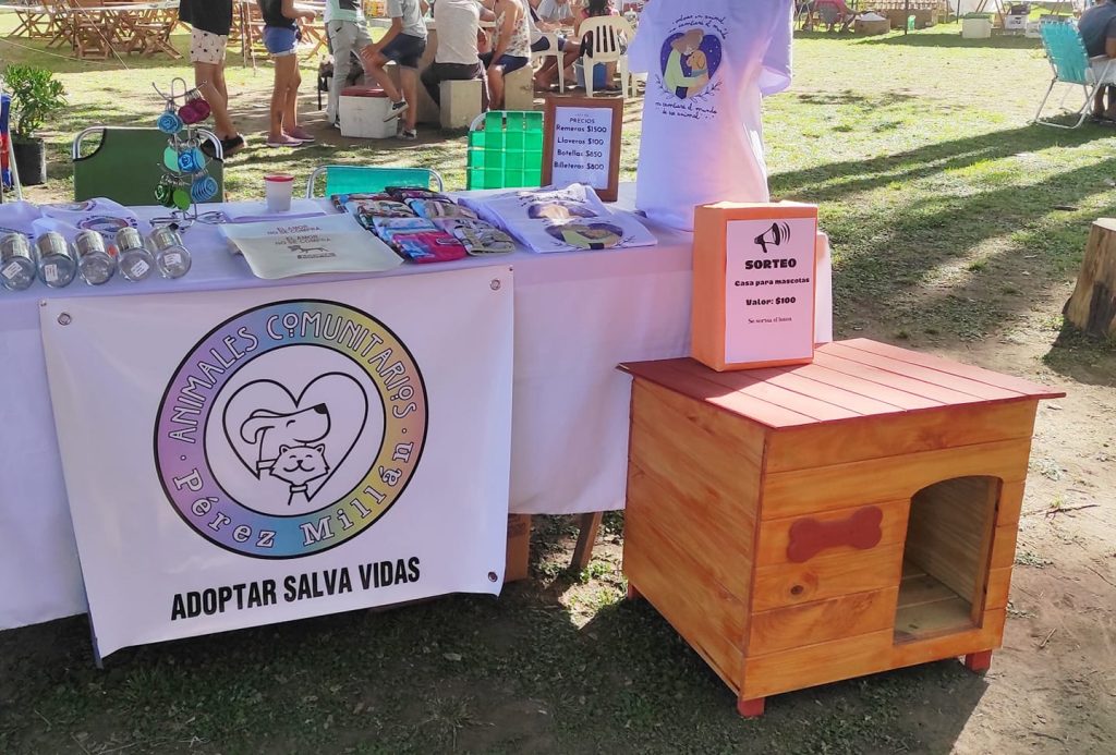 La ONG “Animales Comunitarios” de Pérez Millán dejará de rescatar por falta de ayuda y apoyo local