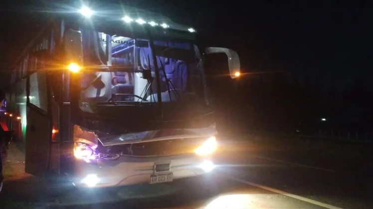 mujer murió atropellada ruta 2