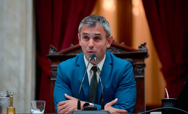 audio de Martín Menem diputados