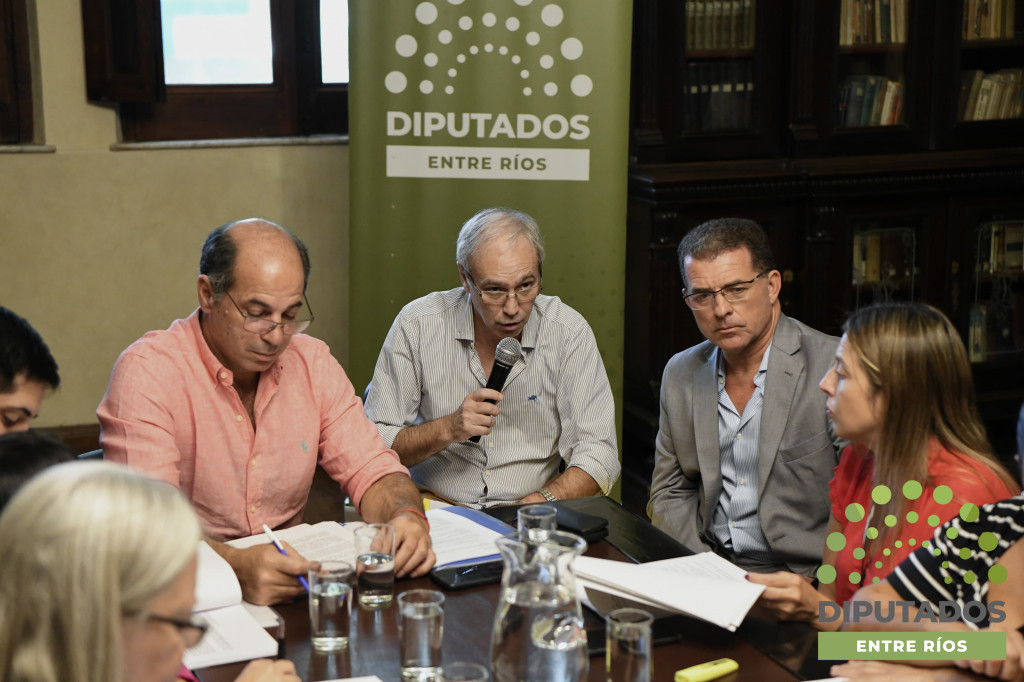 diputados de Entre Ríos proyectos