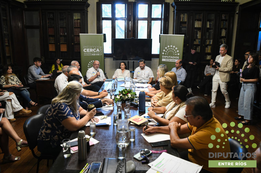 cambios al código procesal penal diputados