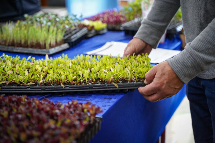 Desarrollo Agrario presentó la edición 2025 del programa Huerta Urbana Bonaerense