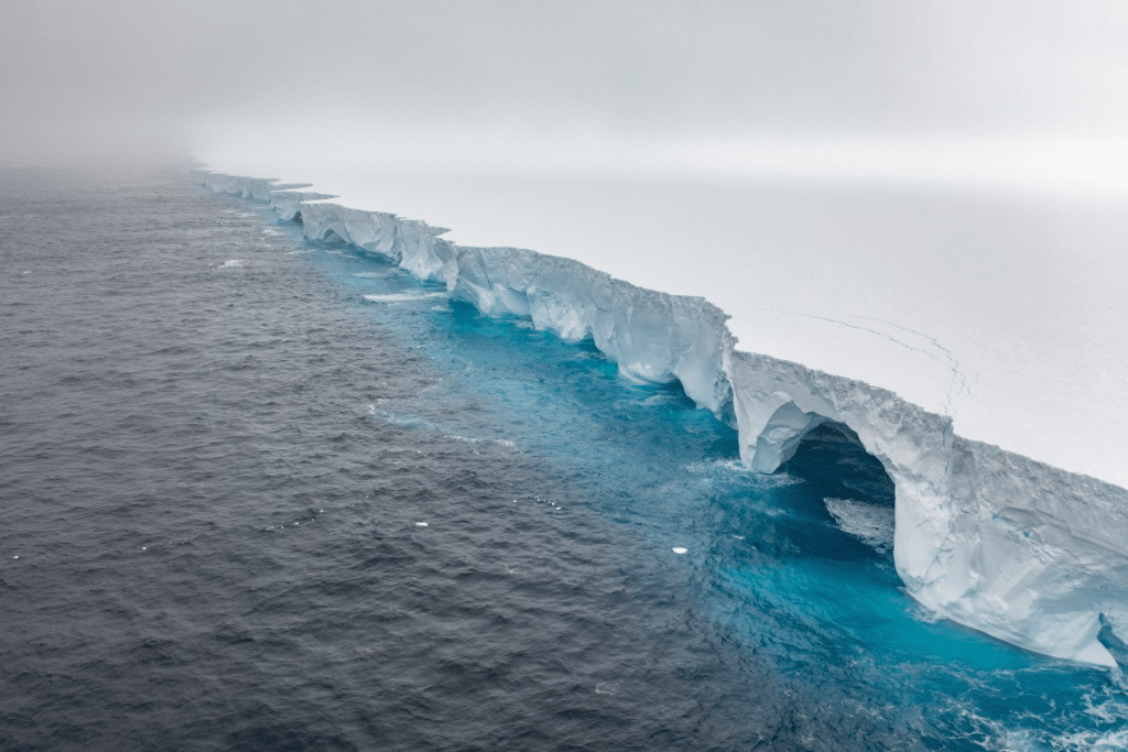 El mayor iceberg del planeta queda varado frente a la isla de Georgia del Sur