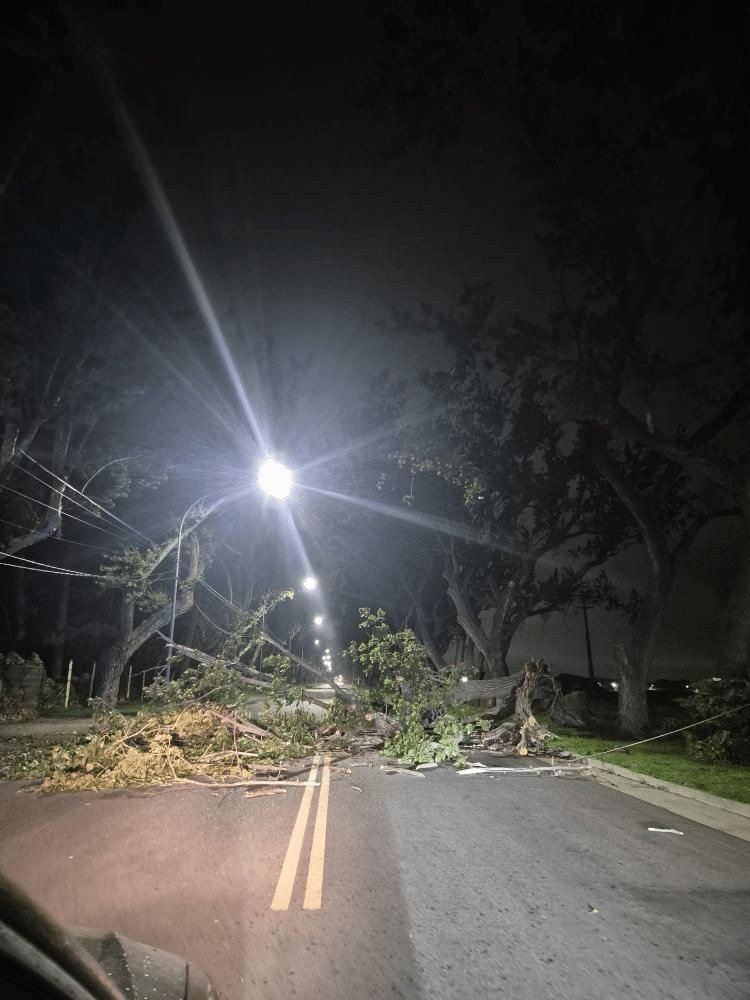 árbol caído en Zona Norte bomberos