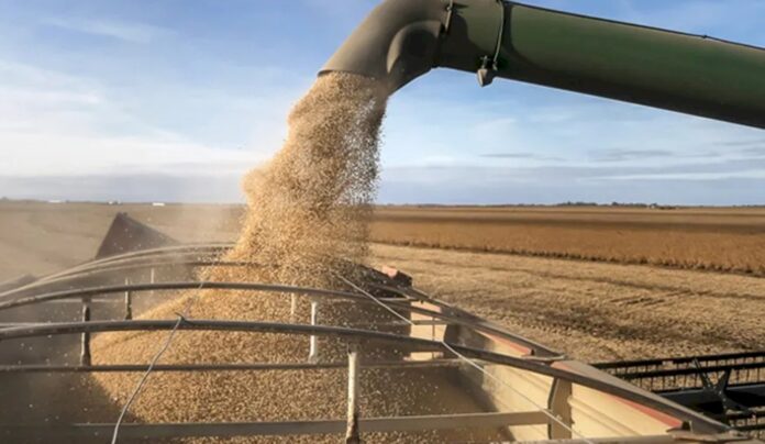 Ramallo: cautela entre el sector agropecuario ante la salida del cepo y la vuelta de las retenciones