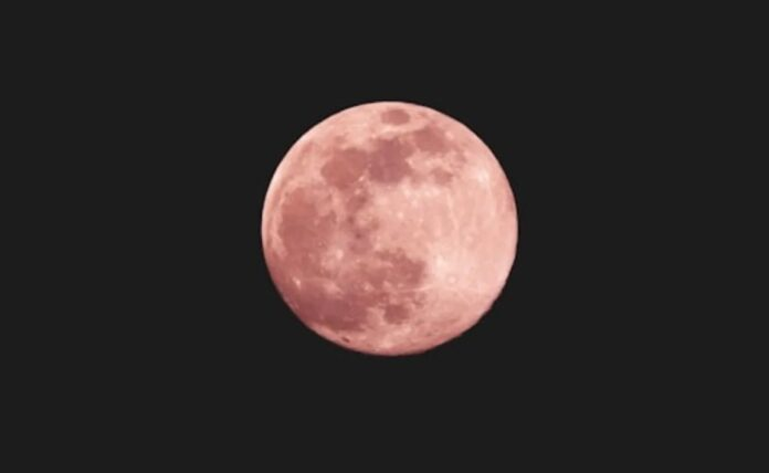 Llega la “Luna Rosa” de abril: por qué se llama así y cuándo podrá verse