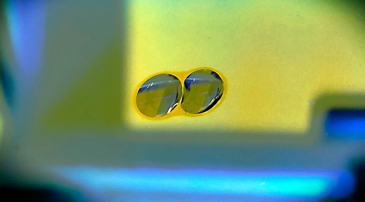 científicos del conicet biotecnología
