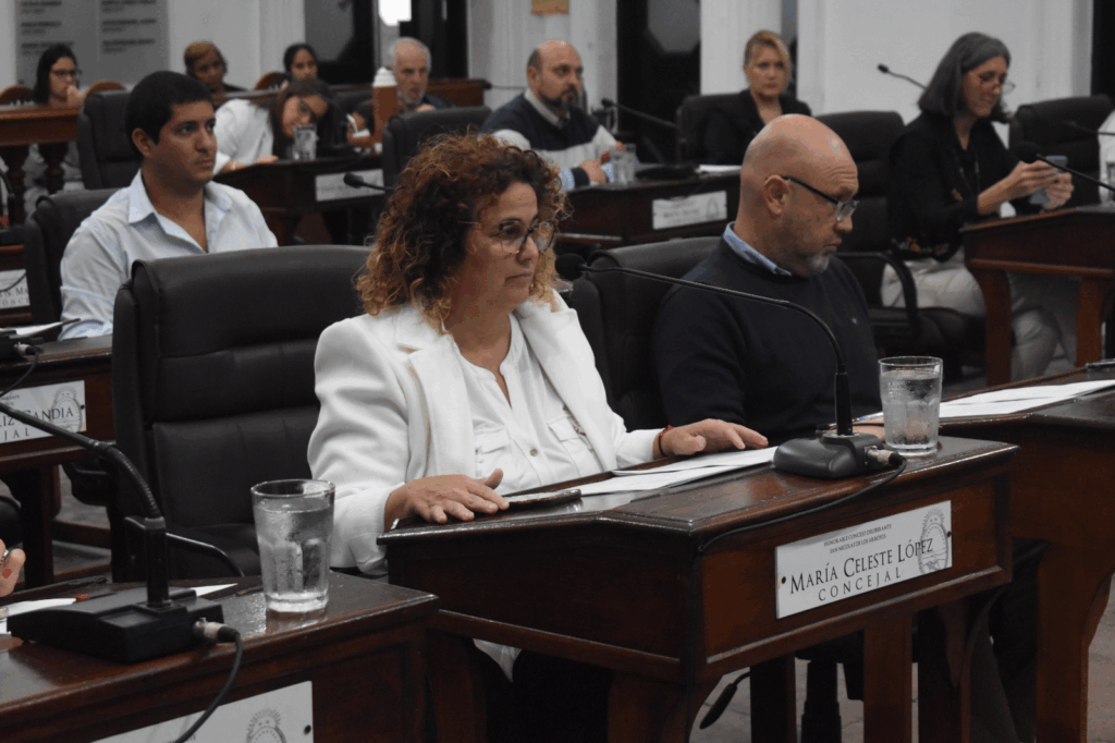 concejo deliberante la exinción viviendas familiares