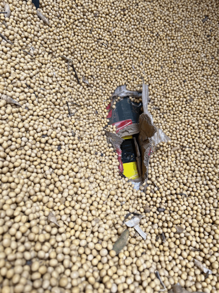 cargamento de cocaína escondida soja