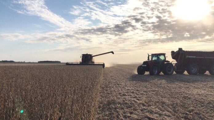 El 41% de la cosecha de soja se usará para pagar alquileres de campos