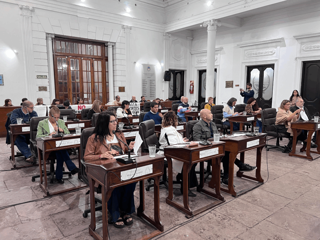 concejo proyectos