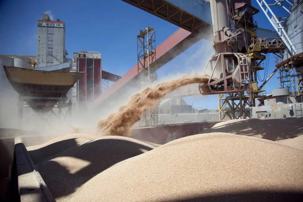 Aceiteras y cerealeras advirtieron que las medidas de Trump desatarán una "guerra comercial"