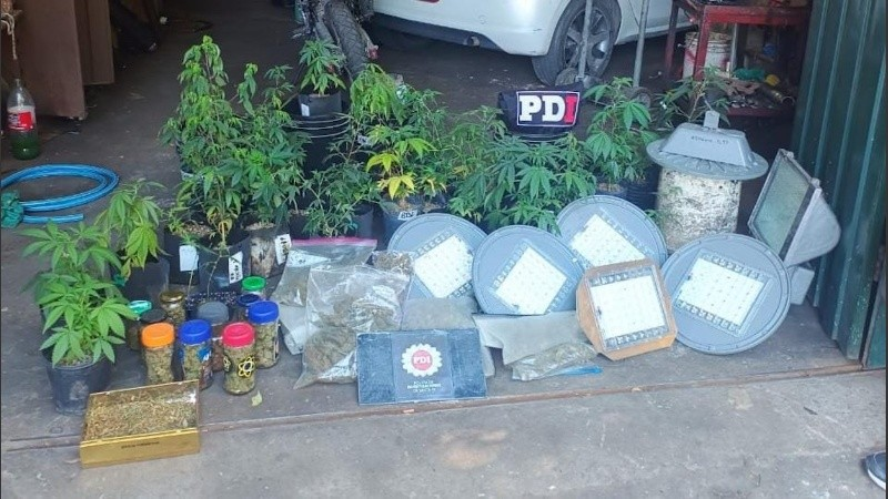 lámparas vivero de marihuana