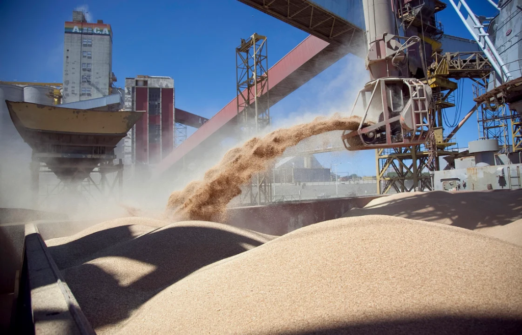Qué empresas lideraron el ranking de exportadores del agro durante la campaña 2023/2024