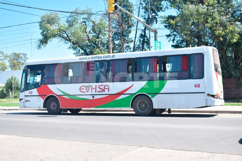 colectivos