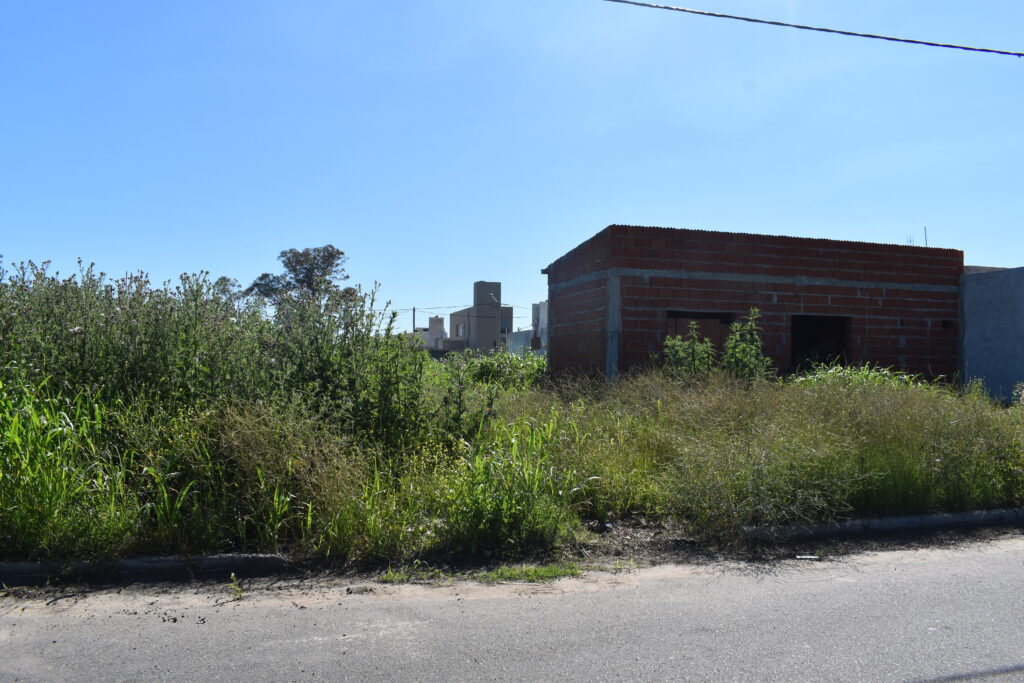 Las denuncias por presencia de altas malezas en terrenos baldíos encabezan los reclamos de vecinos