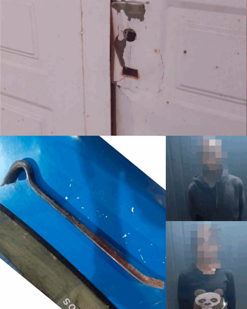 usurpar una vivienda deshabitada ingreso