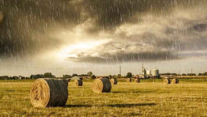 Lluvias protagonistas: el norte bonaerense, pasado por agua en lo que va de mayo