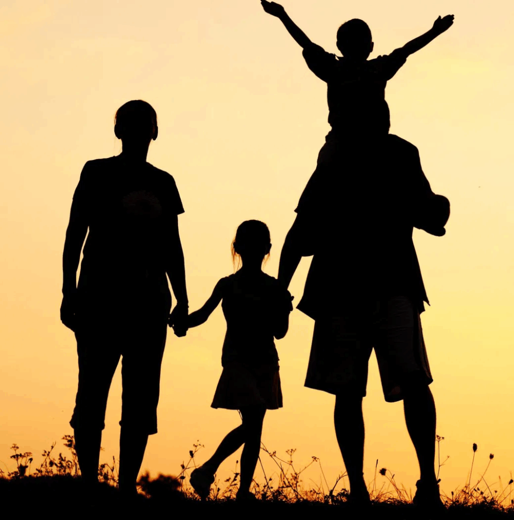 día internacional de las familias hogares