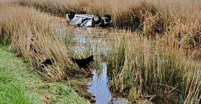 Ruta 2: un matrimonio marplatense murió ahogado tras volcar el vehículo y caer en el cauce de un arroyo