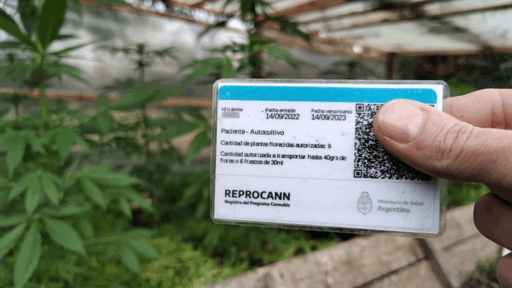 requisitos para cultivadores REPROCANN