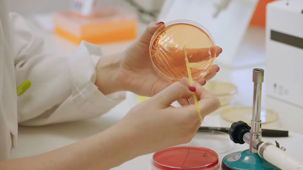 Fentanilo contaminado: una microbióloga reveló cómo se detectaron las bacterias que causaron 16 muertes