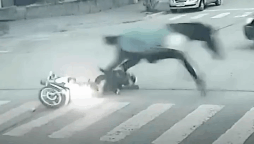 caballo embistió a una motociclista mujer