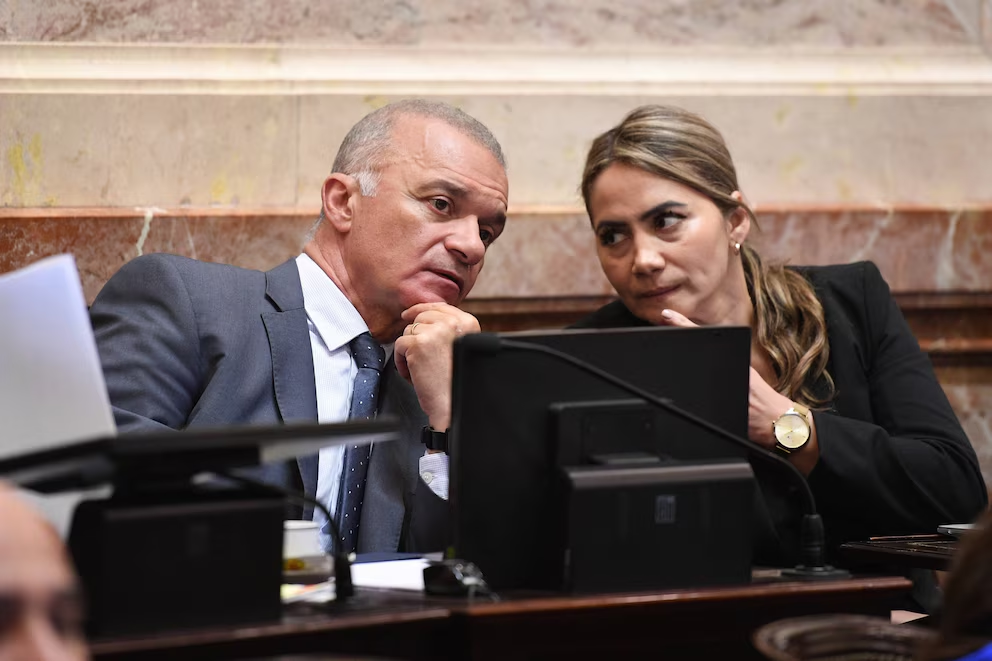 ficha limpia libertad avanza