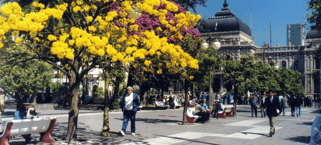 De Córdoba a Tucumán, los mejores destinos de la Ruta 157 para recorrer en el otoño