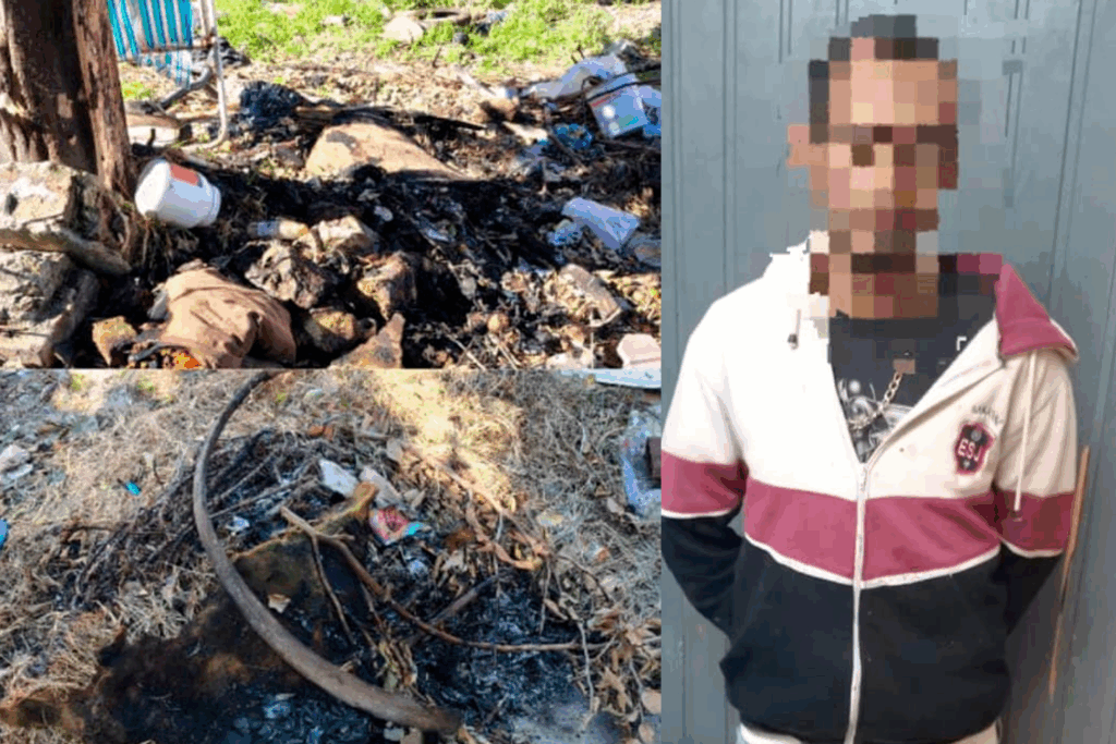 detuvieron a un hombre incendio