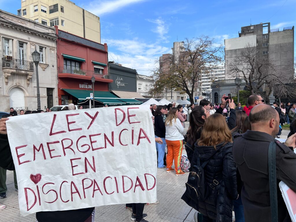 qué dice el proyecto discapacidad