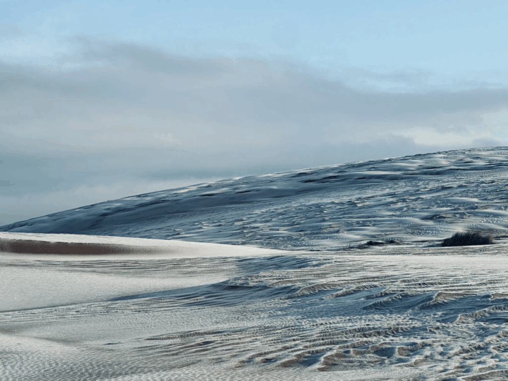 ola polar cubre de nieve país