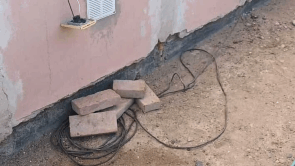 Investigan en Chubut a una mujer que intentó electrocutar perros con un pan con cables pelados