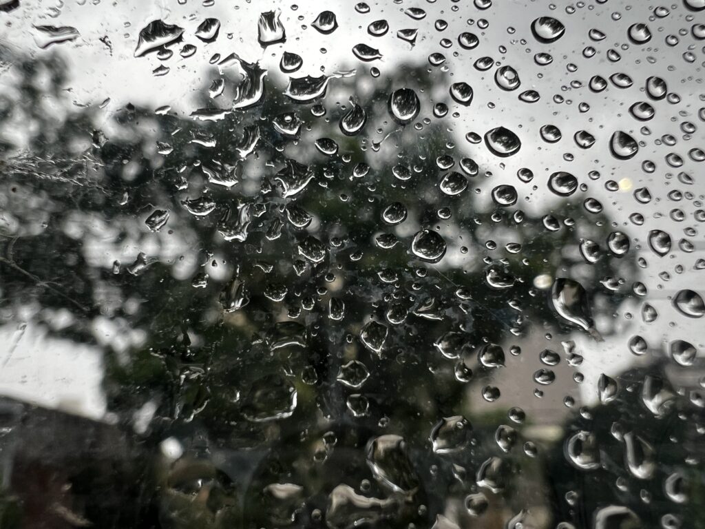 lluvias San Nicolás