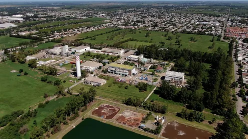 tras el cierre de atanor consejo profesional de química