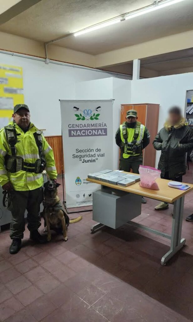 golpe narco en junín perro