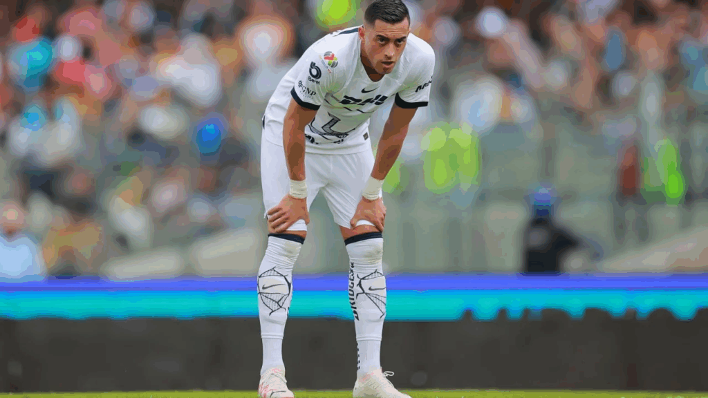 Pumas