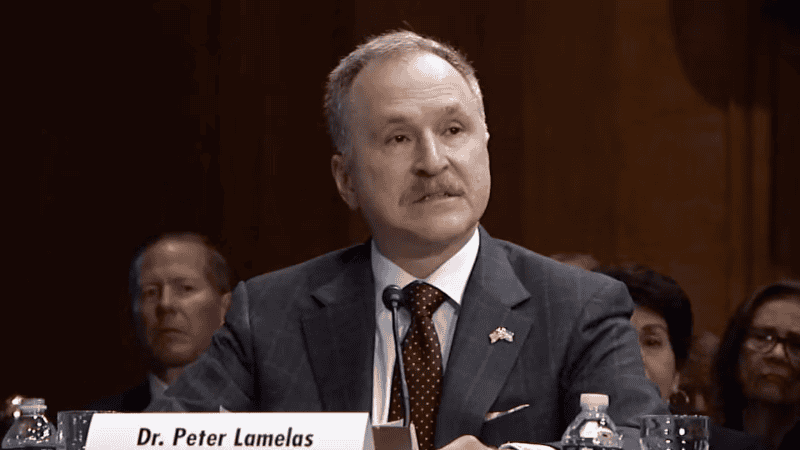 diputados piden rechazar la designación peter lamelas declaraciones