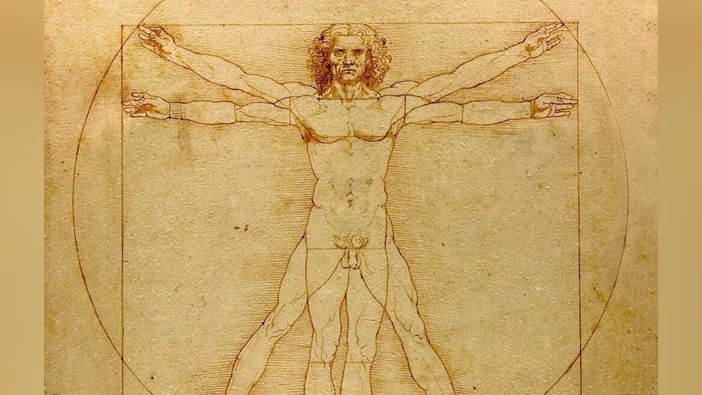 Código Da Vinci Vitruvio