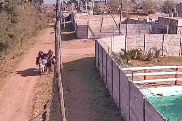 Florencio Varela: iban a caballo, robaron una cabra de una finca y atacaron a un policía que les pidió identificación
