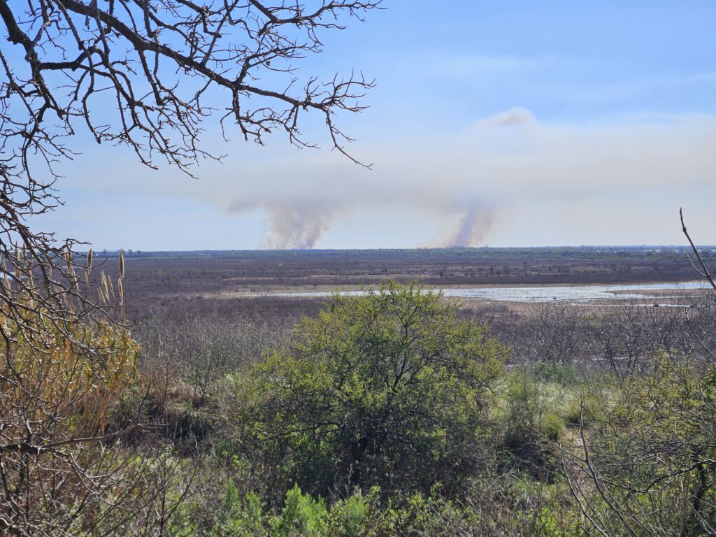 incendios