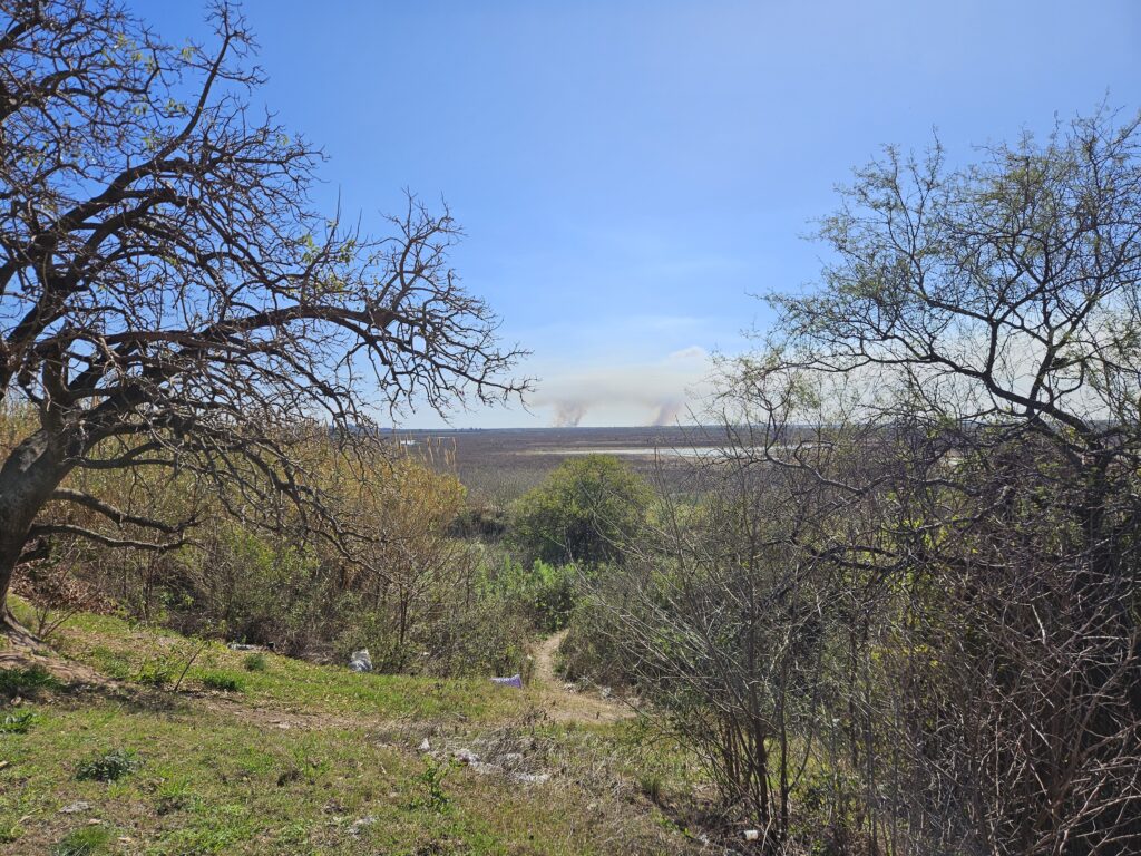 incendios